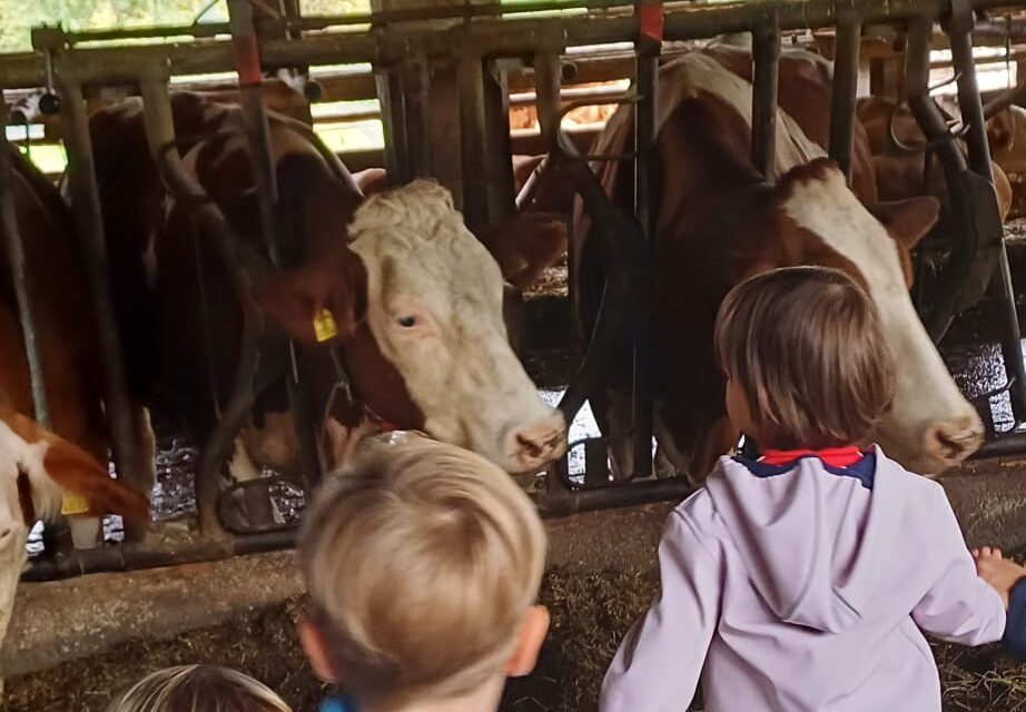 Familienausflug zum Bauernhof mit Waldspaziergang